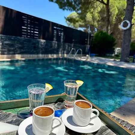 La Parsdoren Mordoğan
